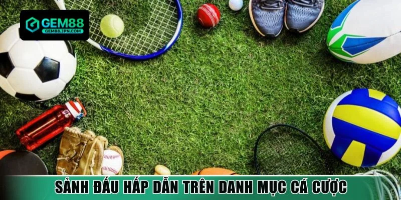 Sảnh đấu hấp dẫn trên danh mục cá cược
